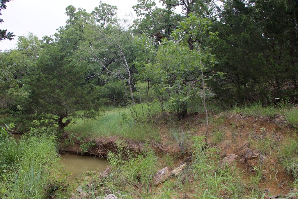 1309 County Road 1895 Property Photo 25