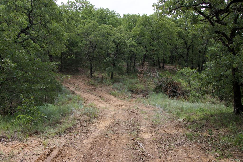 1309 County Road 1895 Property Photo 29