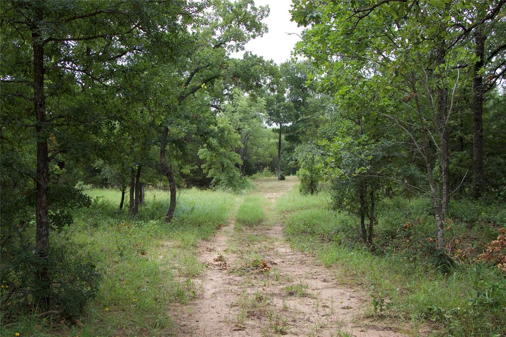 1309 County Road 1895 Property Photo 36