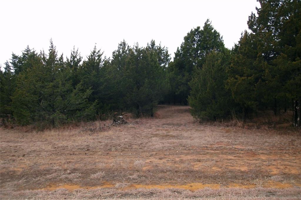 224 Barrington Circle Property Photo 2