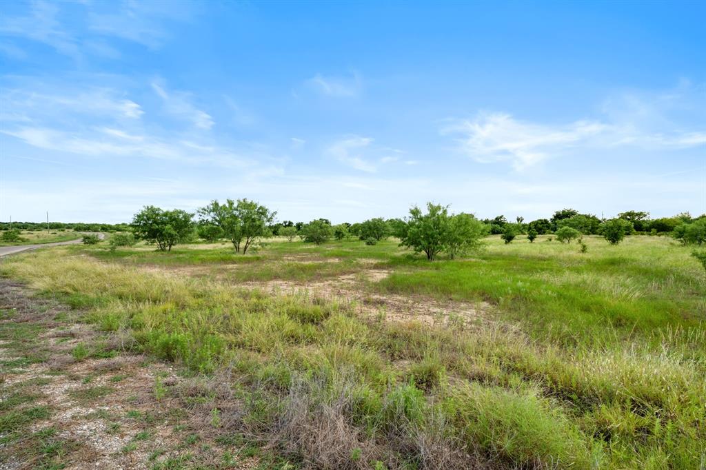 Lot 17 Brazos Valley Road Property Photo 1