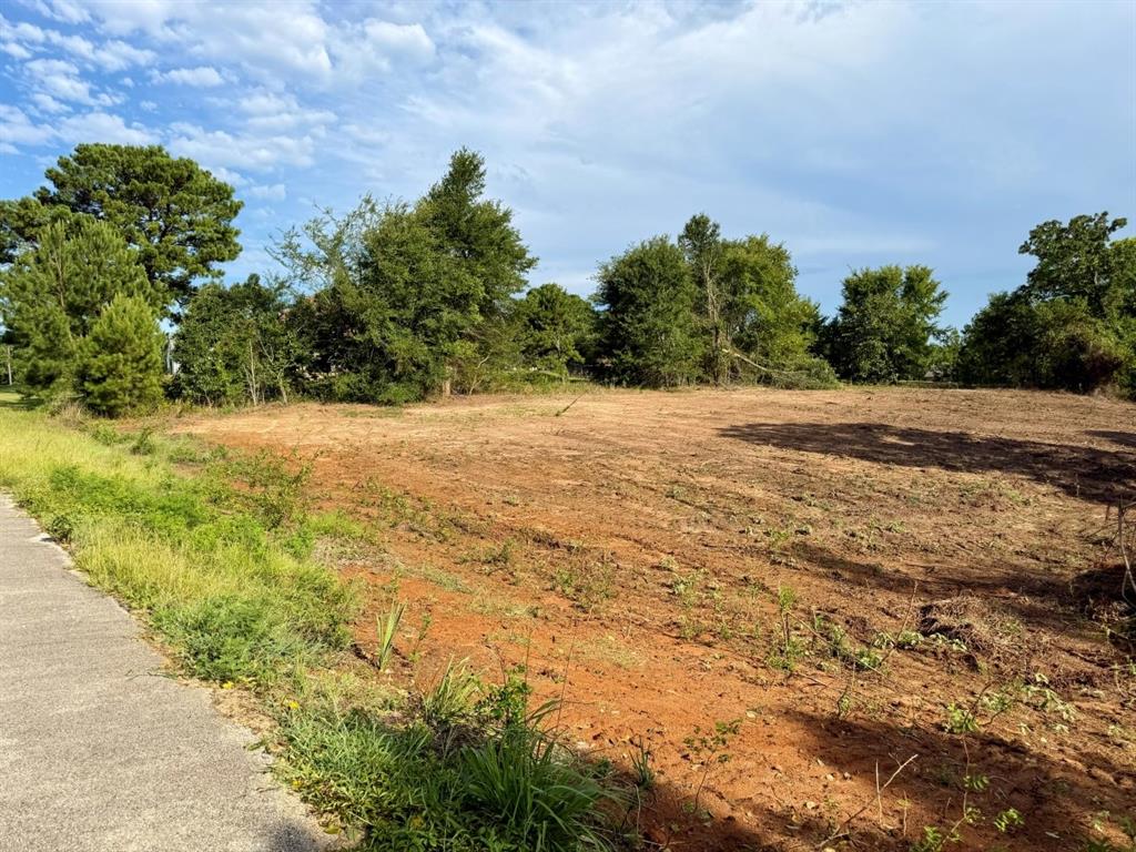 13358 Nance Lane Property Photo 3