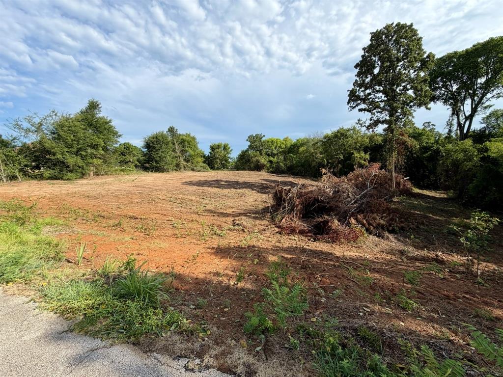 13358 Nance Lane Property Photo 5