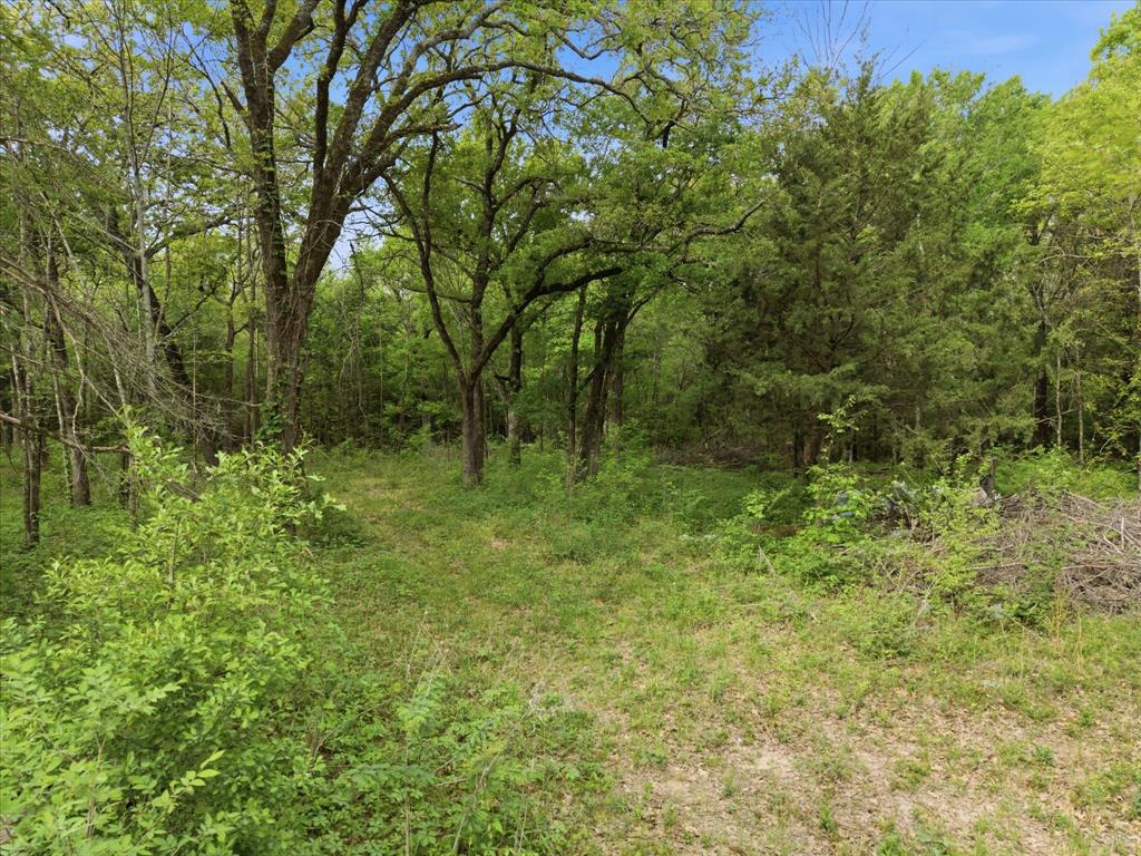 637 Vz County Road 3437 Property Photo 5