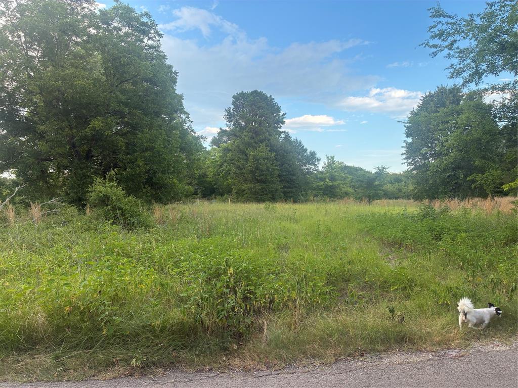 910 Vzcr 3119 Road Property Photo 2