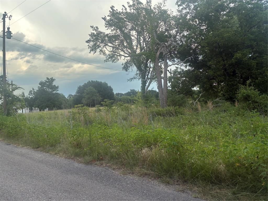 910 Vzcr 3119 Road Property Photo 4