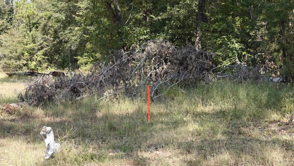 14915 County Road 26 Property Photo 3