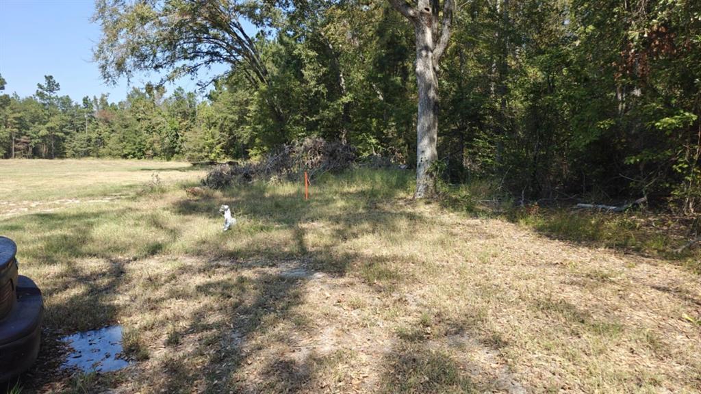 14915 County Road 26 Property Photo 4