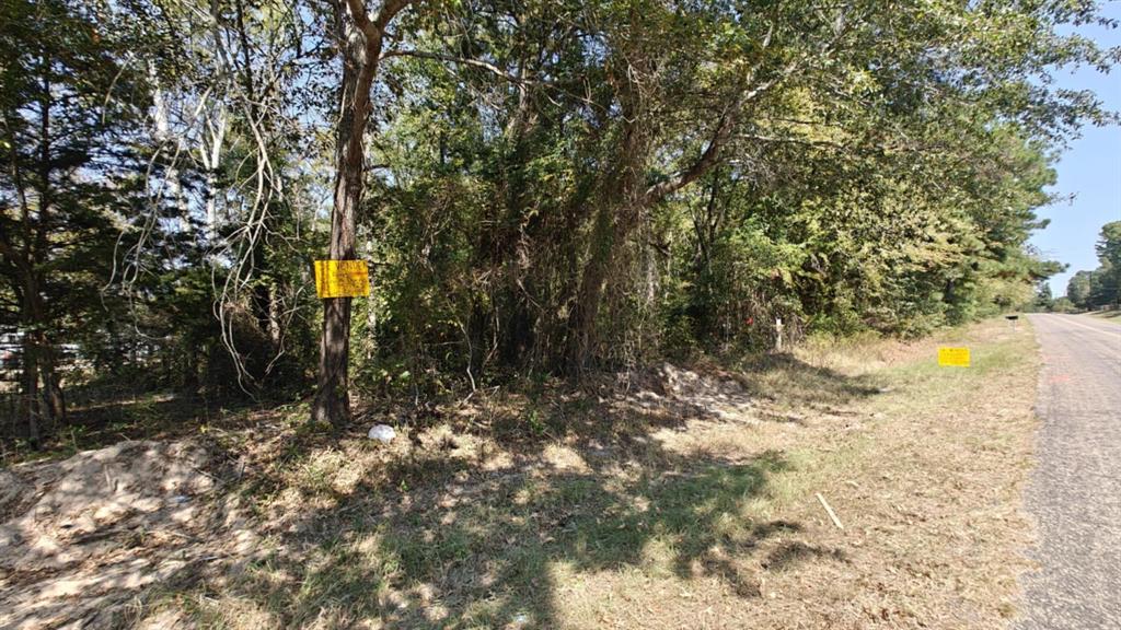 14915 County Road 26 Property Photo 5