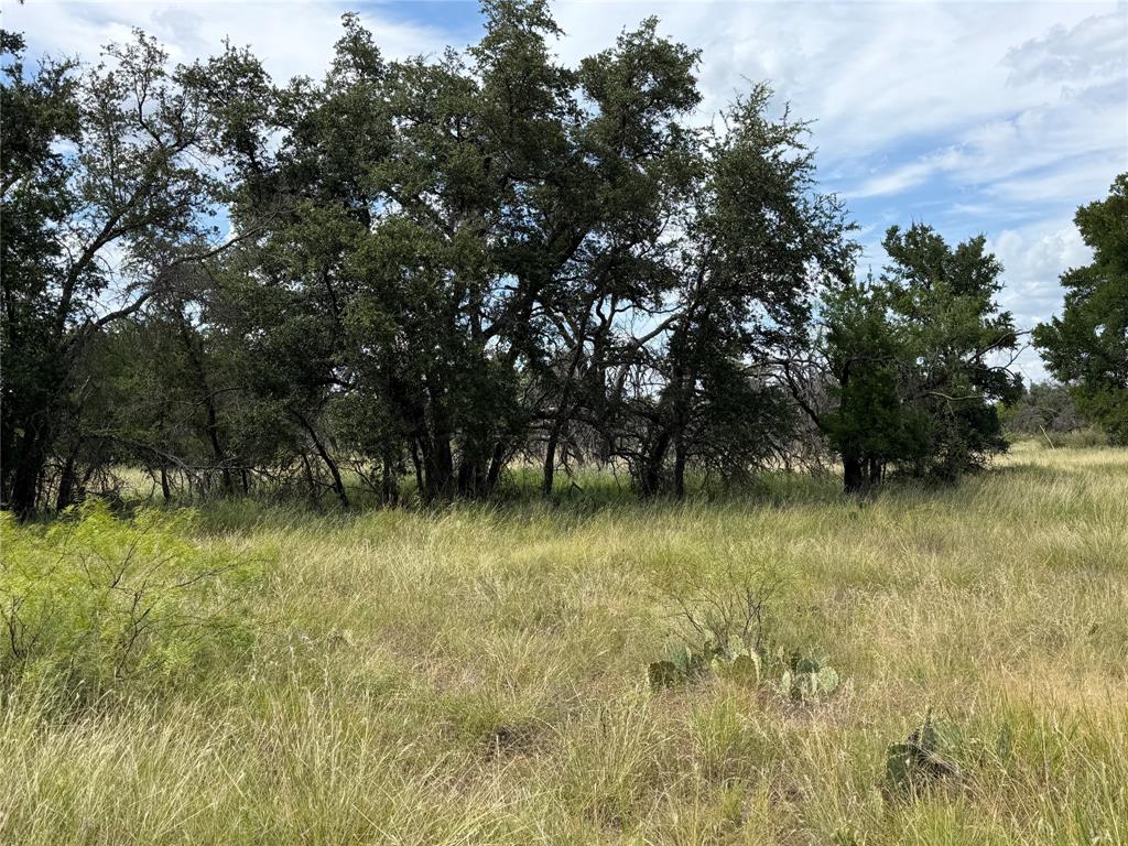 678 Batten Drive Property Photo 10