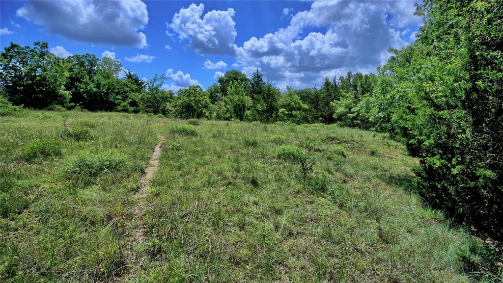 408 Fm 922 Property Photo 11