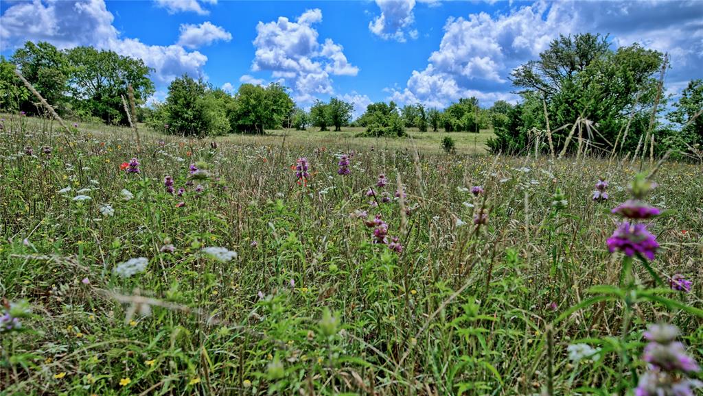 408 Fm 922 Property Photo 12