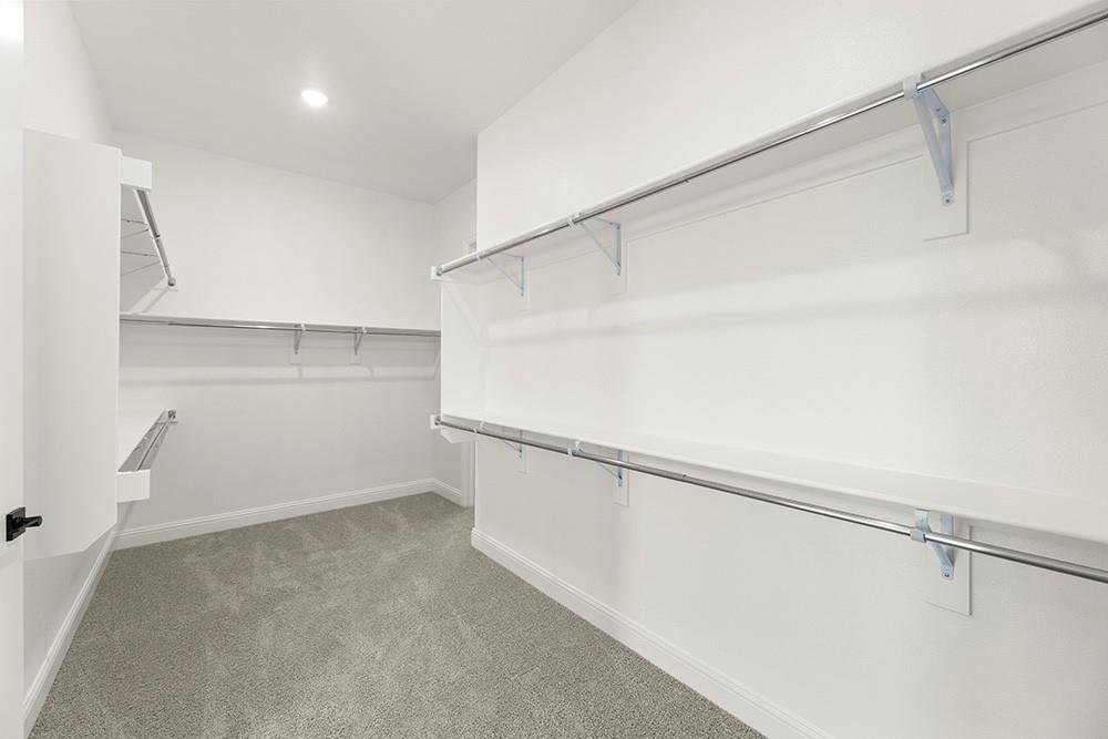 2904 Manchester Court Property Photo 25