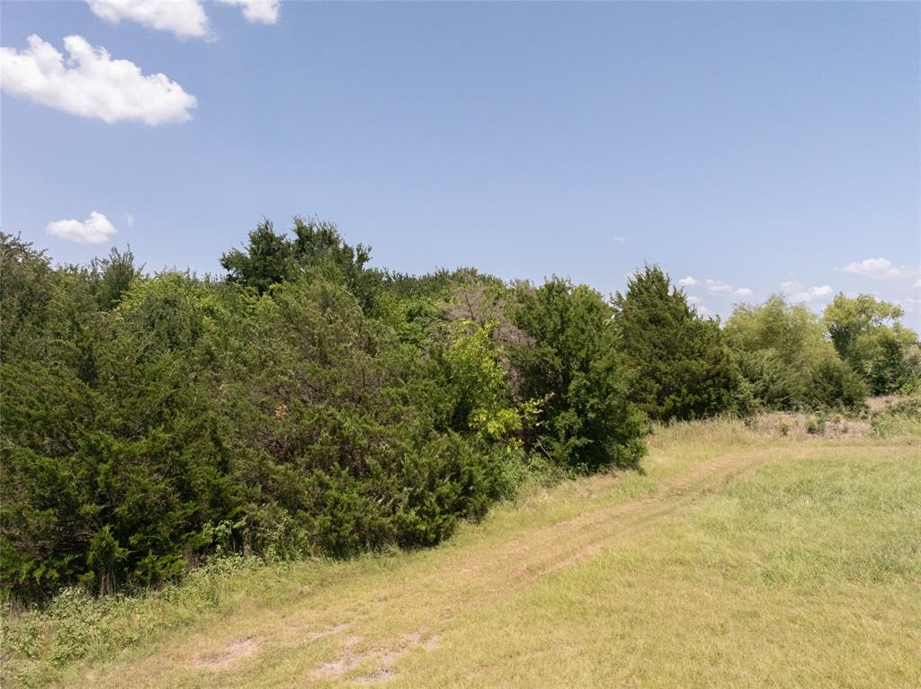 Tbd Cr 728 Property Photo 9