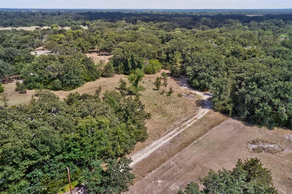 14266 Hickory Tree Lane Property Photo 13