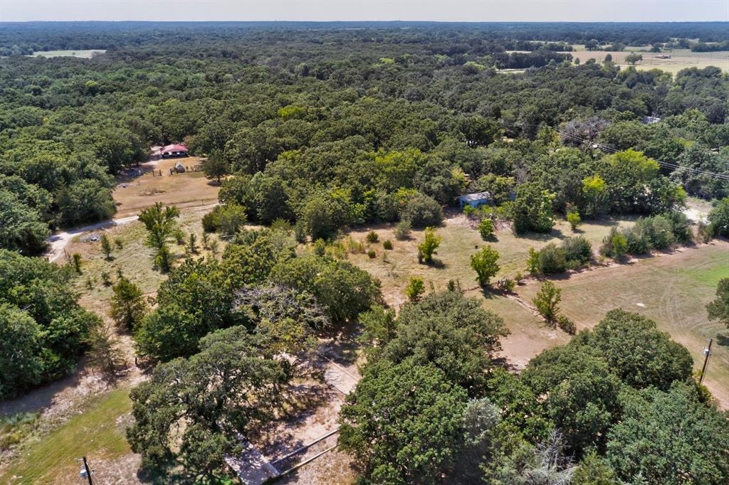 14266 Hickory Tree Lane Property Photo 21