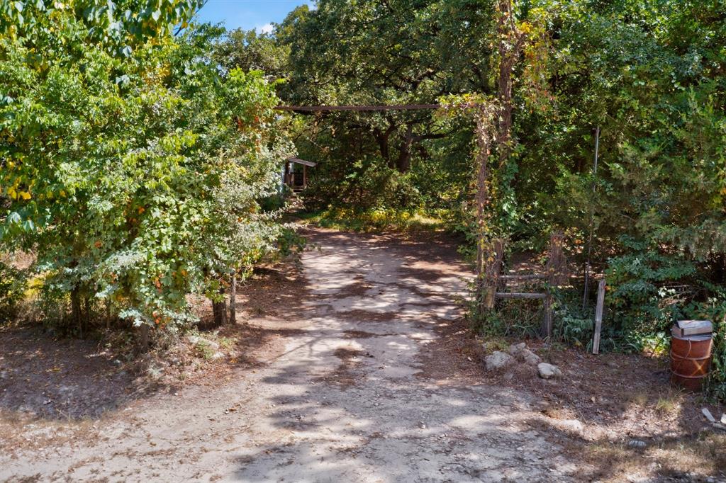 14266 Hickory Tree Lane Property Photo 34