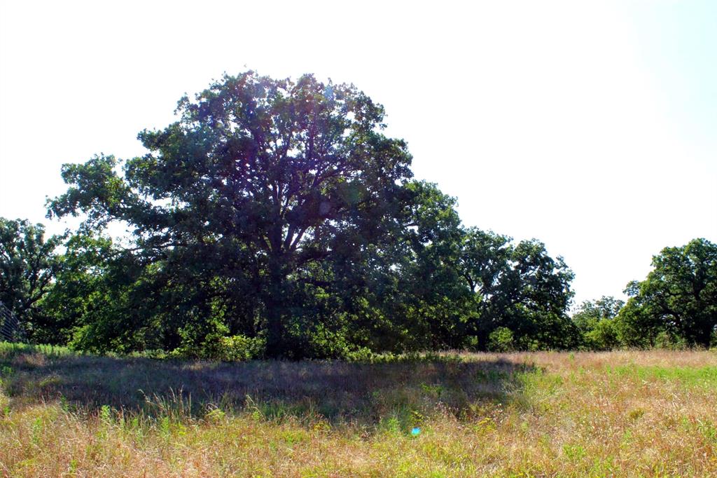9296 Fm 1810 Property Photo 29