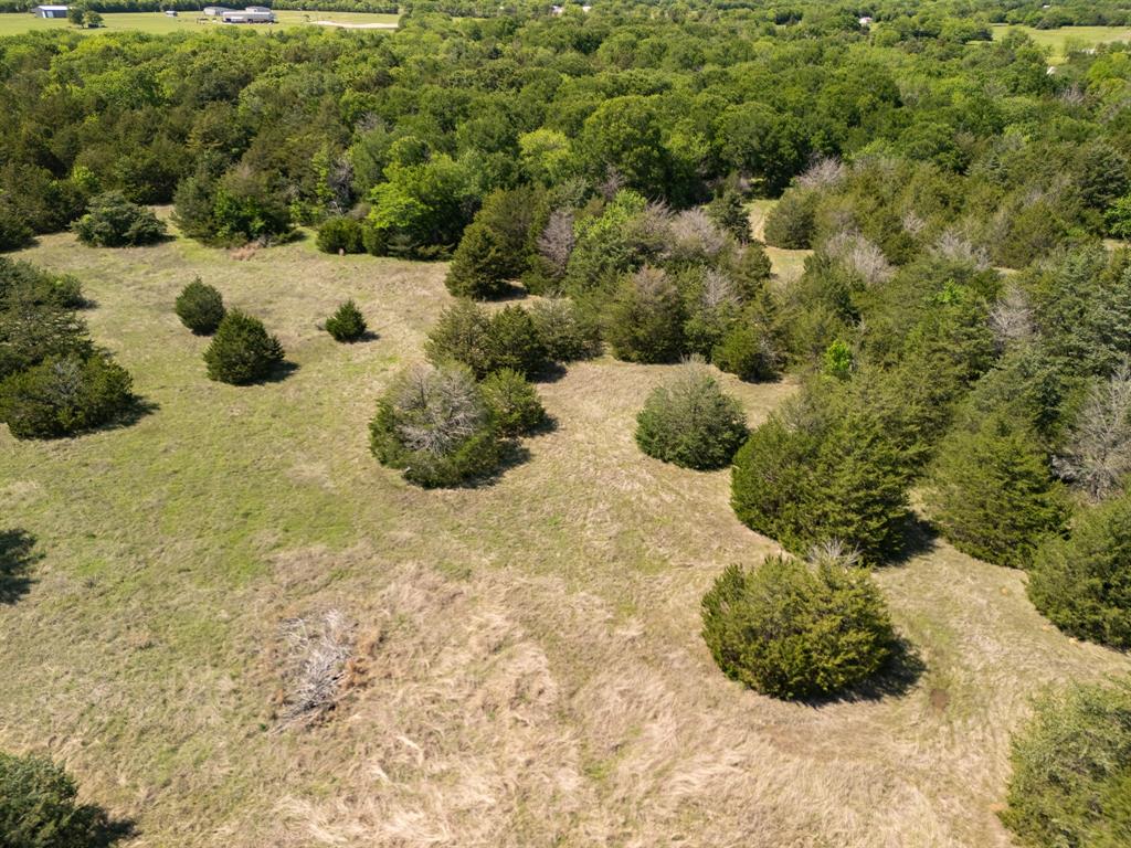 Tbd 13 Acres County Road 1134 Property Photo 15
