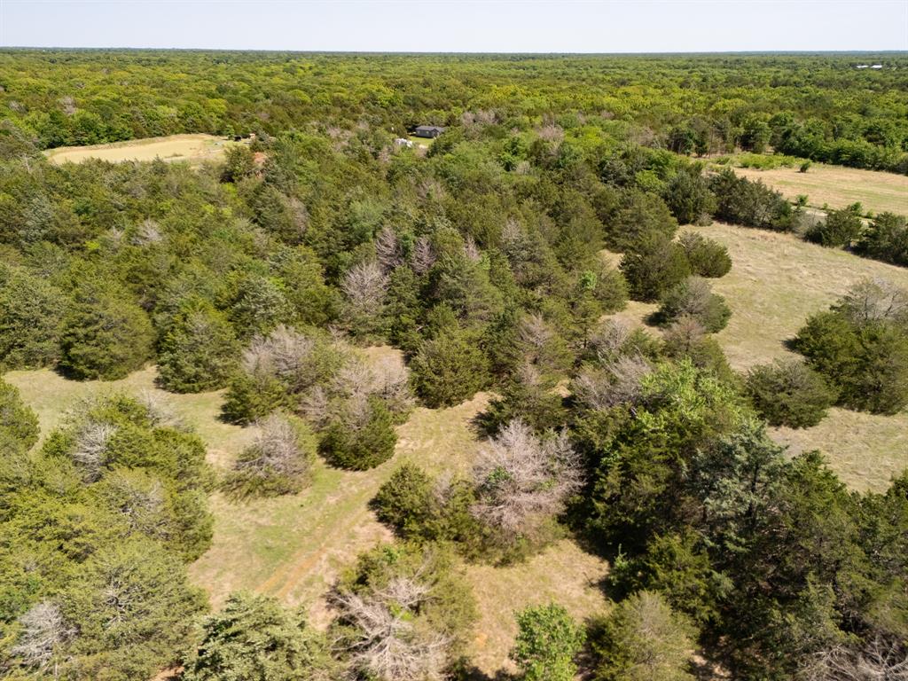 Tbd 13 Acres County Road 1134 Property Photo 16