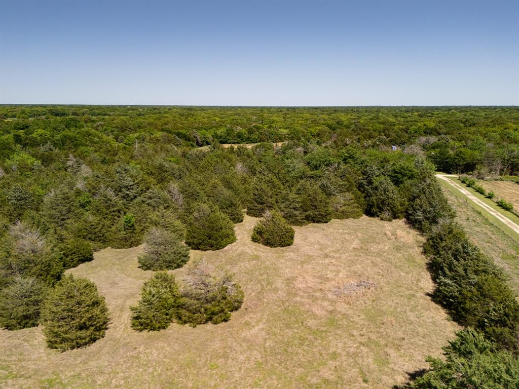 Tbd 13 Acres County Road 1134 Property Photo 17