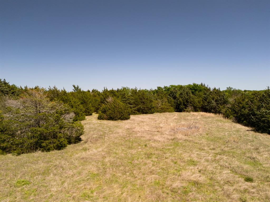 Tbd 13 Acres County Road 1134 Property Photo 18