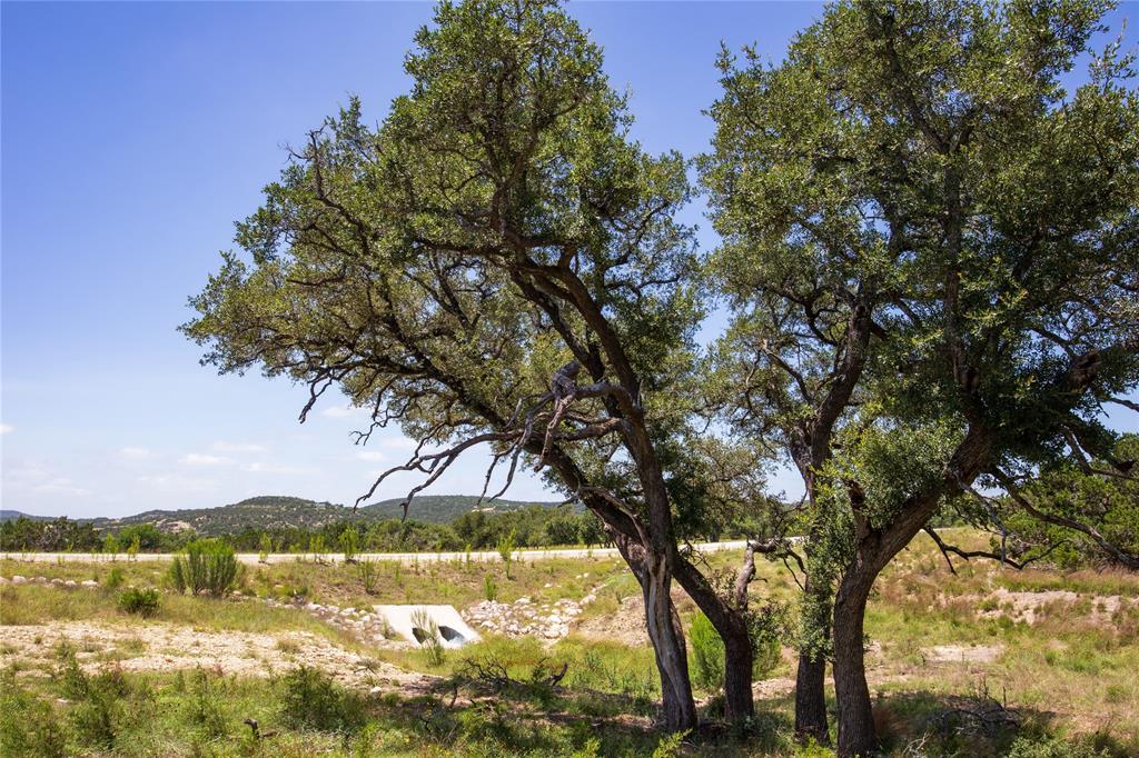 Lot 168 E Starview Cove Property Photo 12