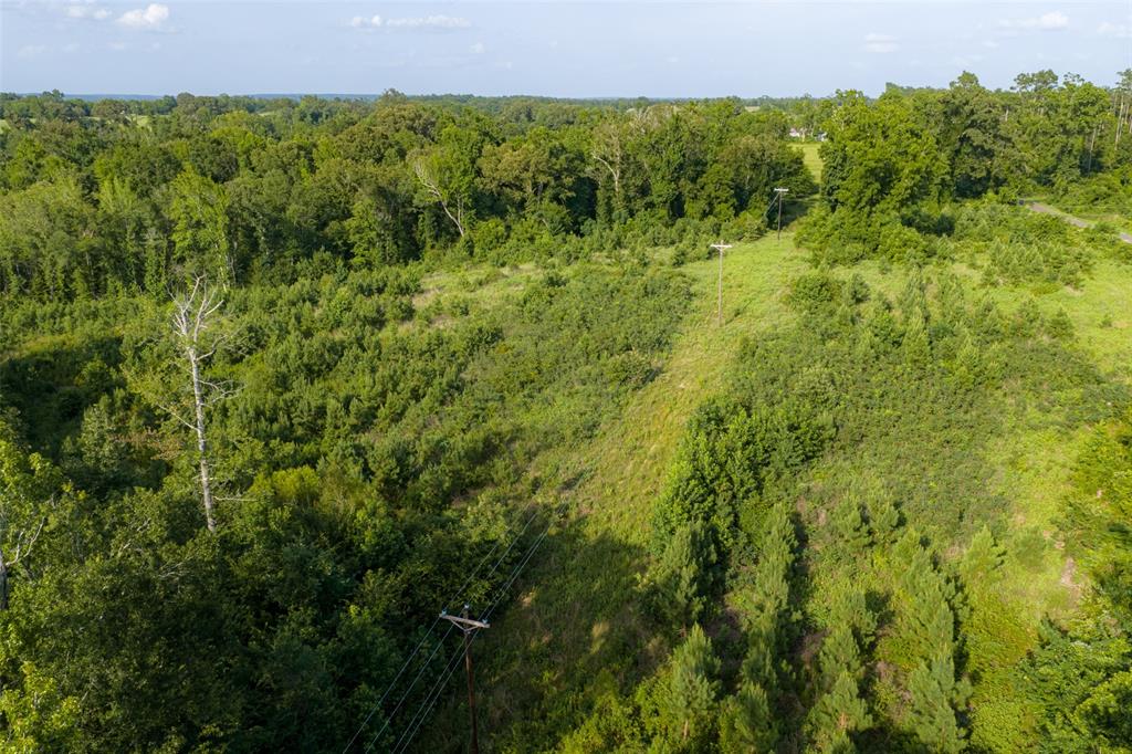 00 County Road 436 Property Photo 6