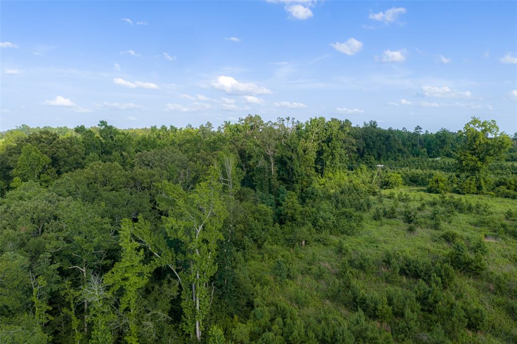 00 County Road 436 Property Photo 10