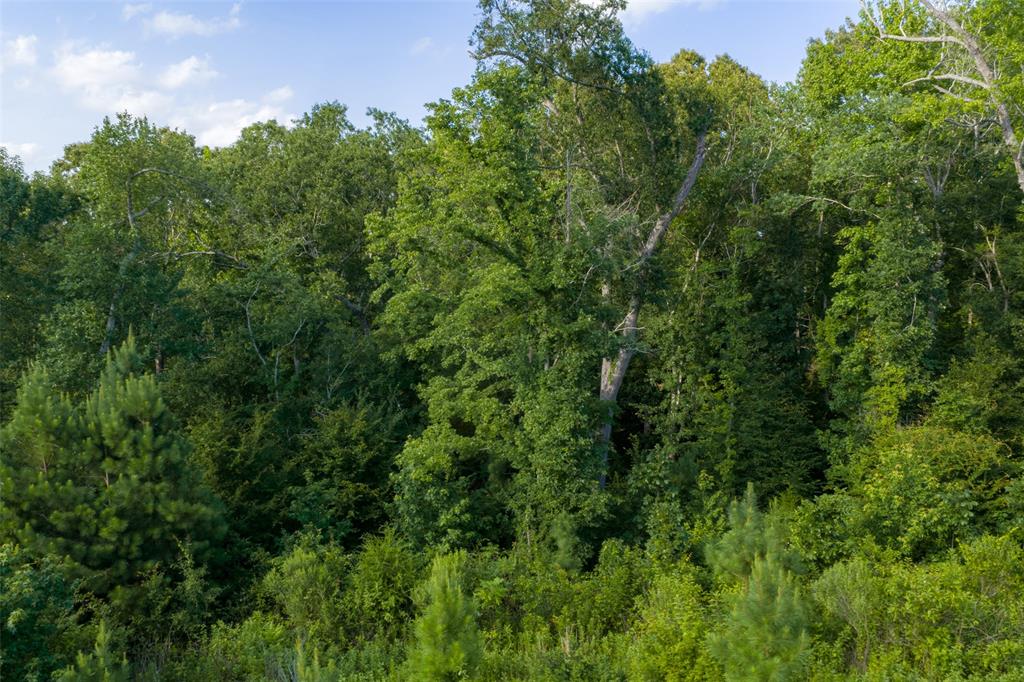 00 County Road 436 Property Photo 12