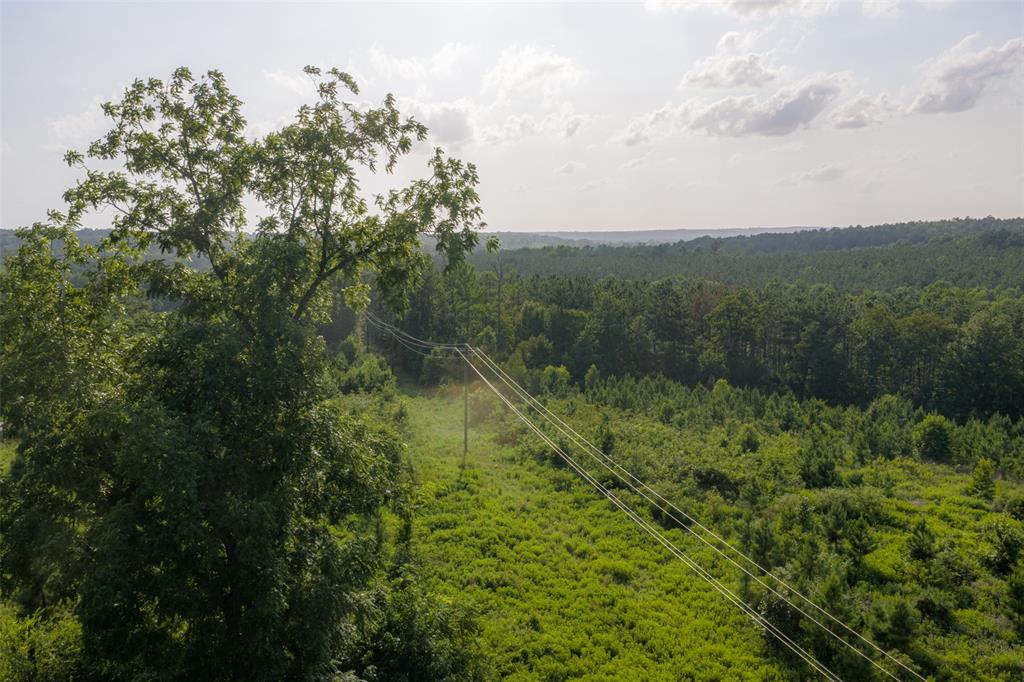 00 County Road 436 Property Photo 15