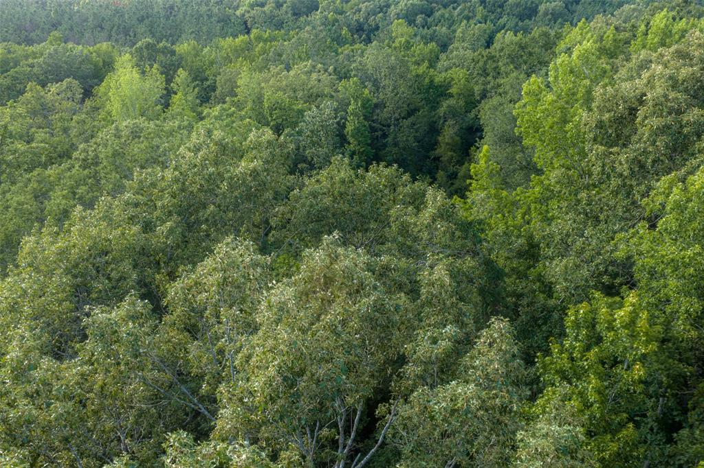 00 County Road 436 Property Photo 16