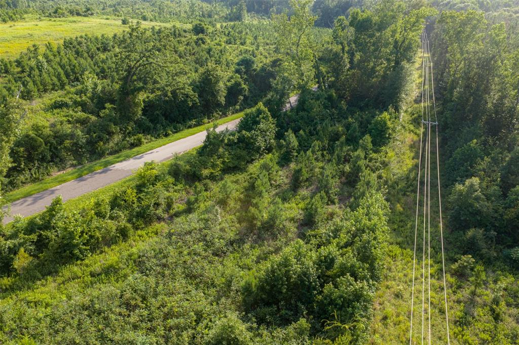 00 County Road 436 Property Photo 19
