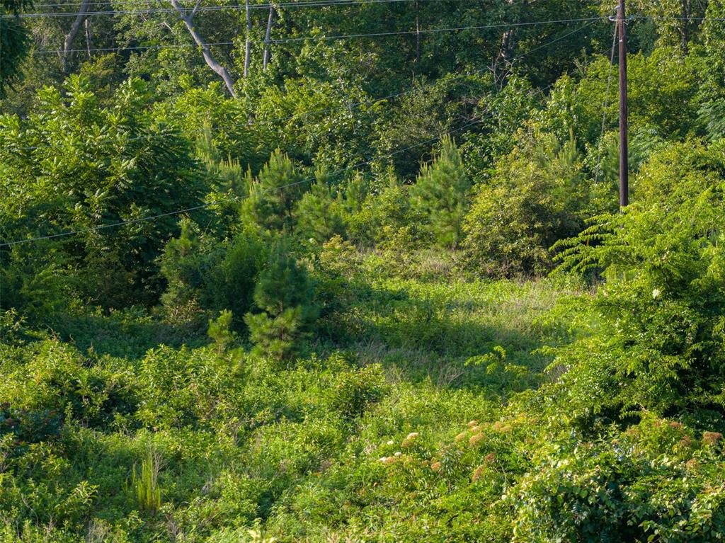 00 County Road 436 Property Photo 22