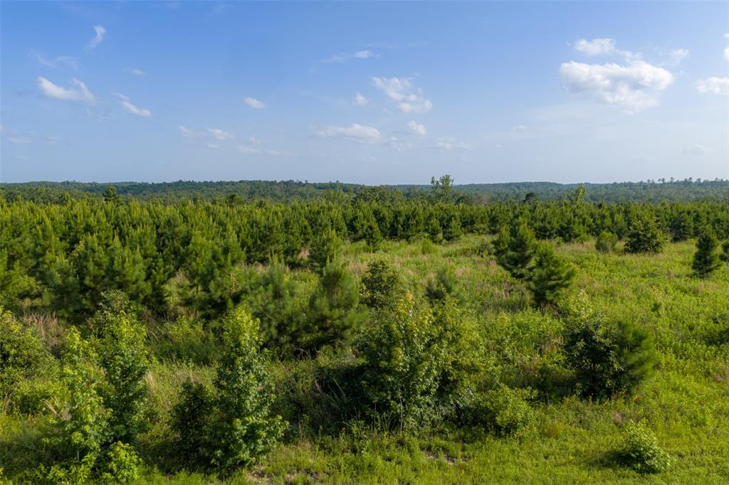 000 County Road 436 Property Photo 2