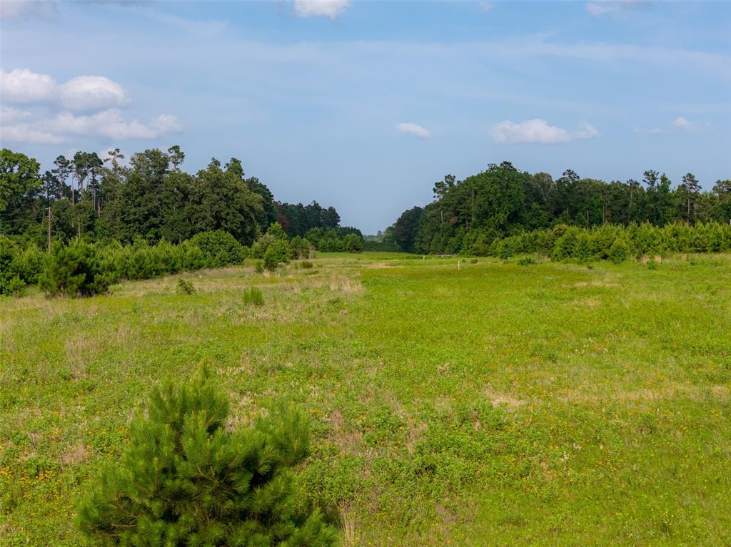 000 County Road 436 Property Photo 8