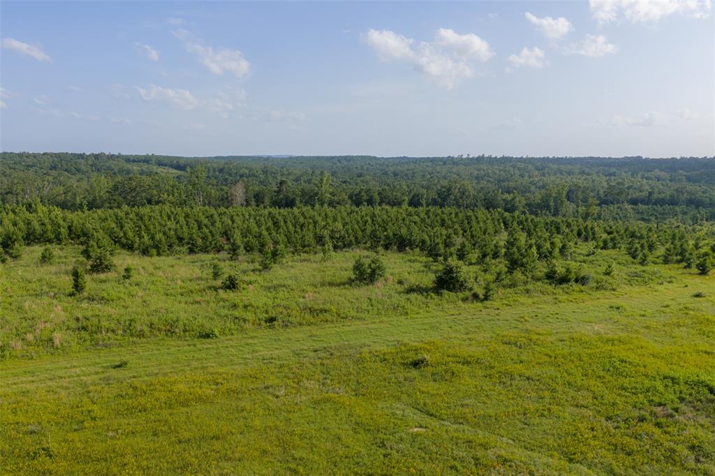 000 County Road 436 Property Photo 14