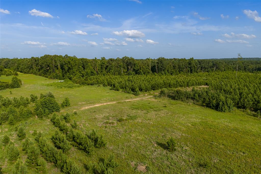000 County Road 436 Property Photo 16