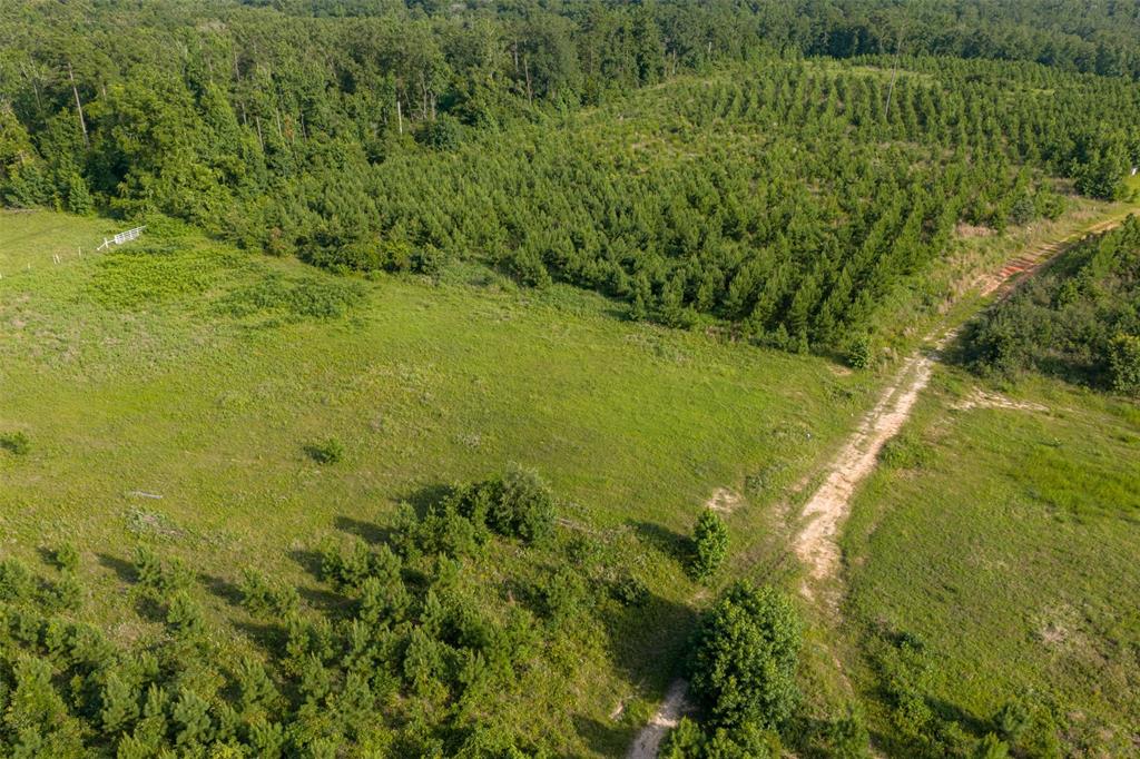 000 County Road 436 Property Photo 25