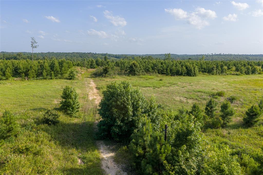 000 County Road 436 Property Photo 26