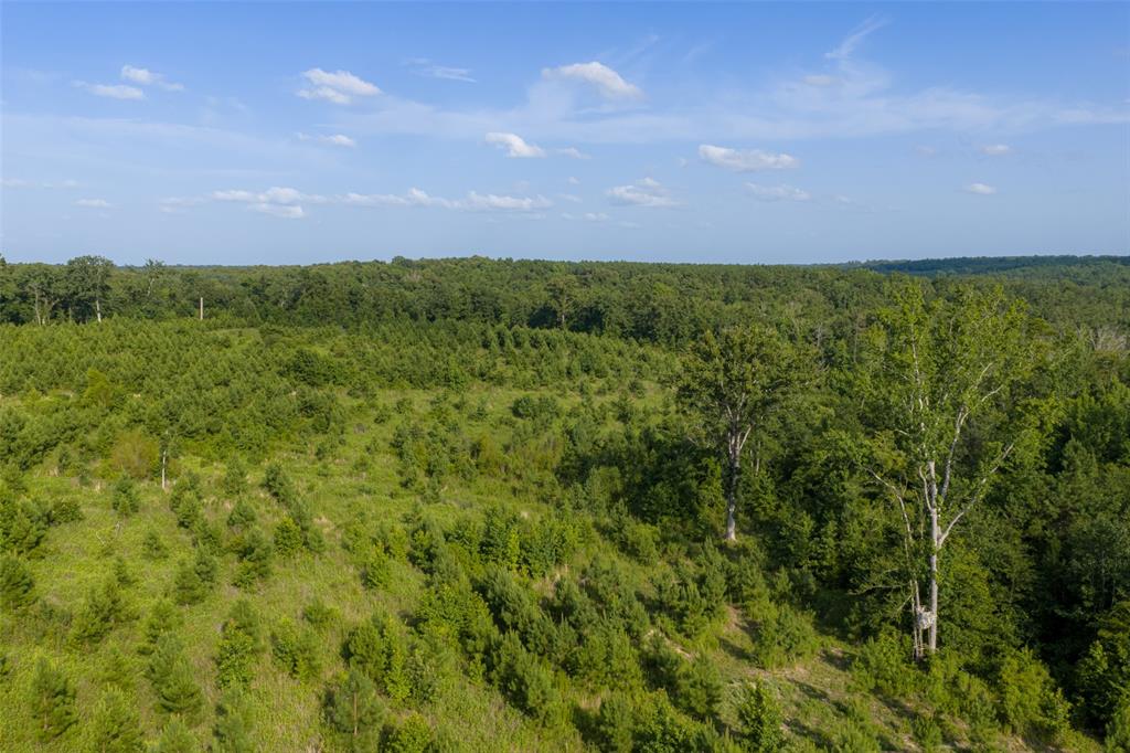 000 County Road 436 Property Photo 29