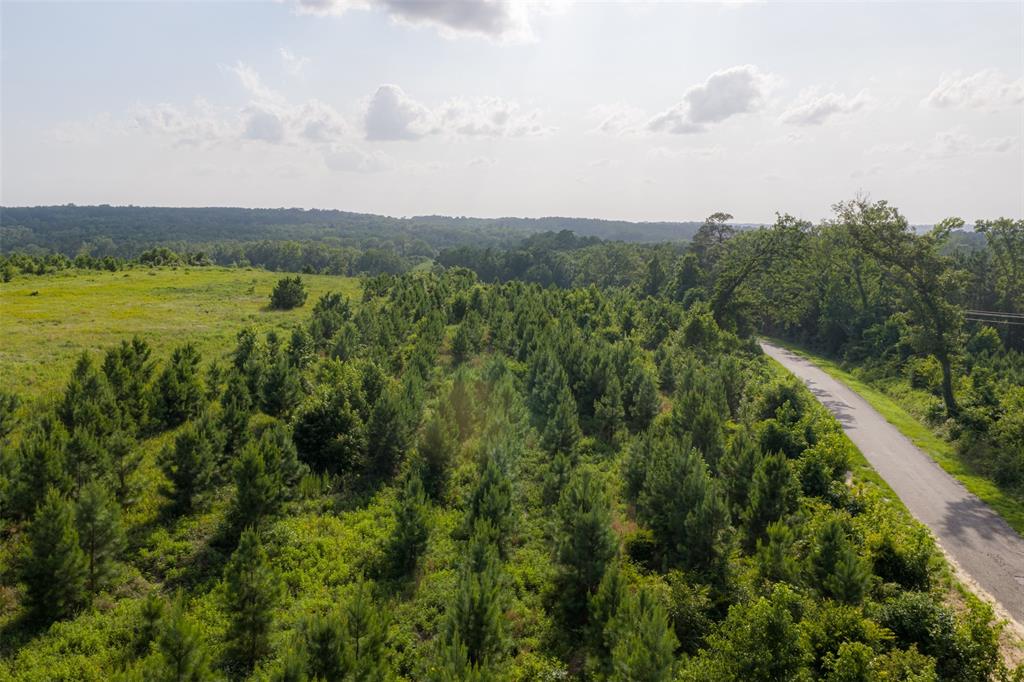 000 County Road 436 Property Photo 33
