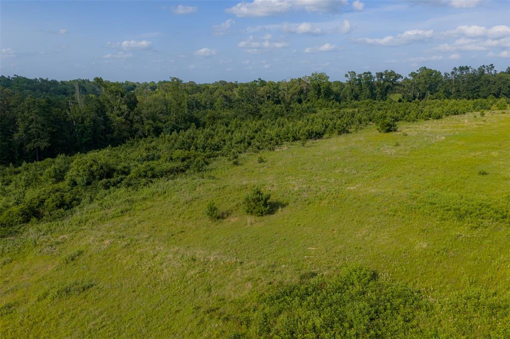 000 County Road 436 Property Photo 37