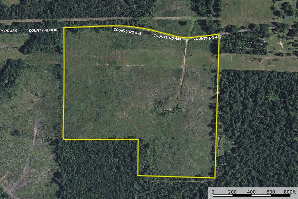 000 County Road 436 Property Photo 38