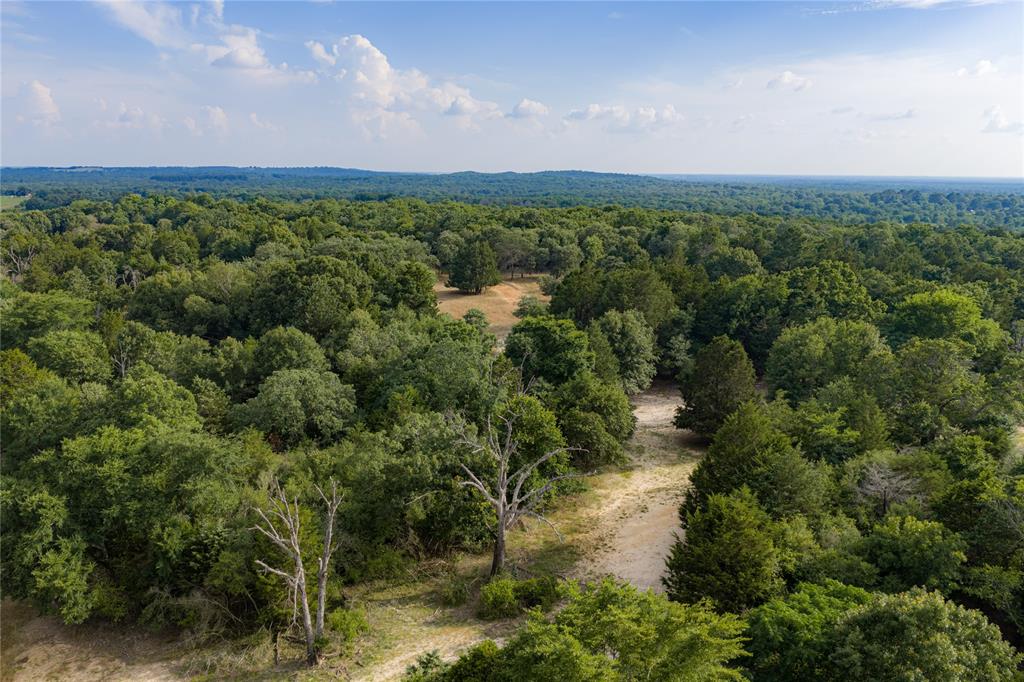 3350 Fm 1256 Property Photo 4