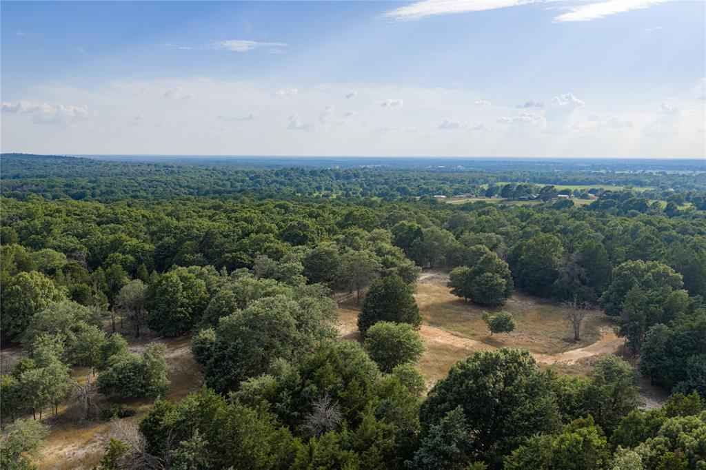 3350 Fm 1256 Property Photo 5