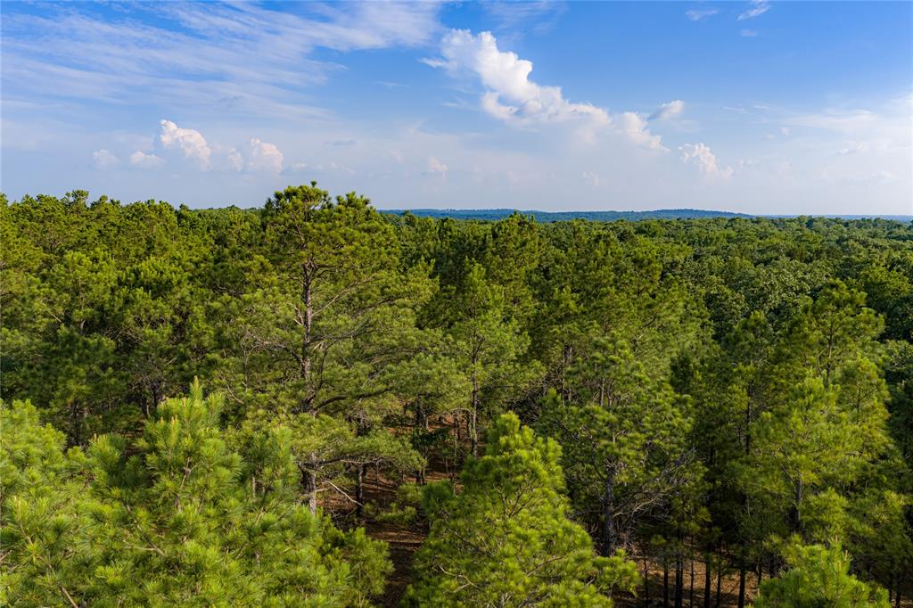 3350 Fm 1256 Property Photo 8