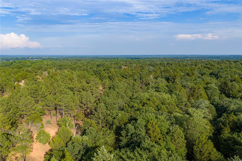3350 Fm 1256 Property Photo 18