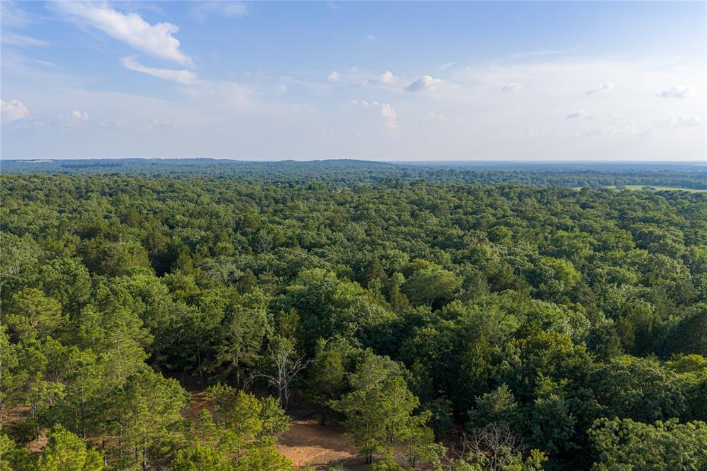 3350 Fm 1256 Property Photo 21