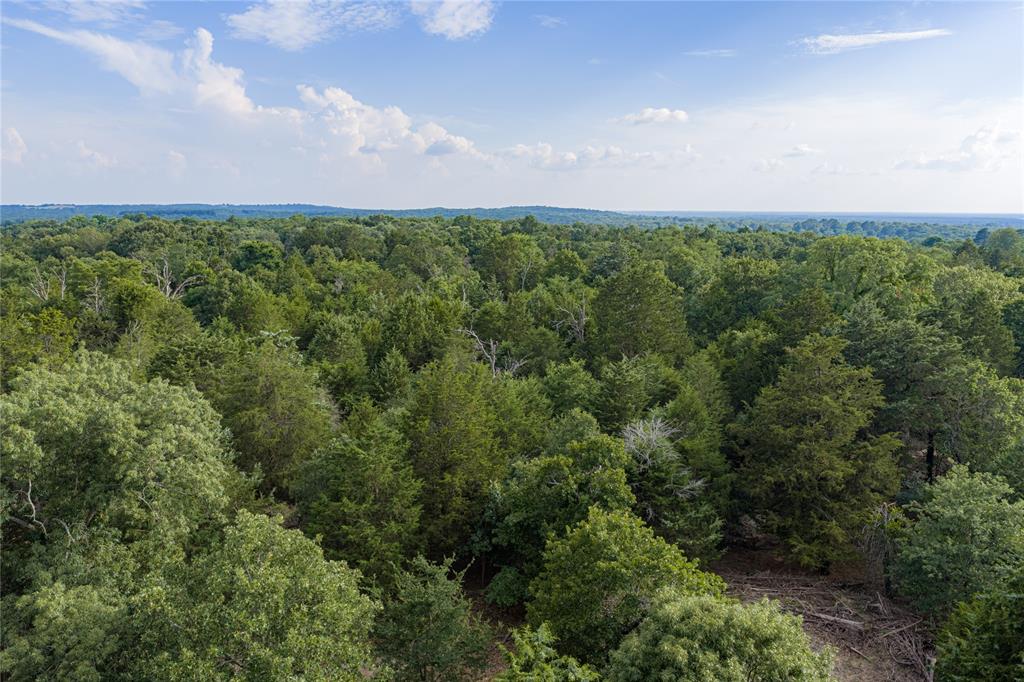 3350 Fm 1256 Property Photo 22